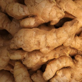 Karbi ginger