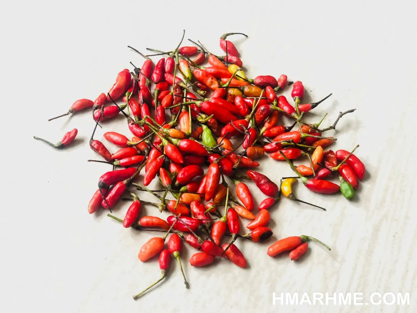 Mizo Chilli