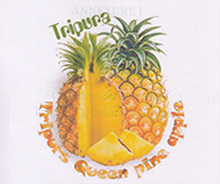 Tripura Queen Pineapple