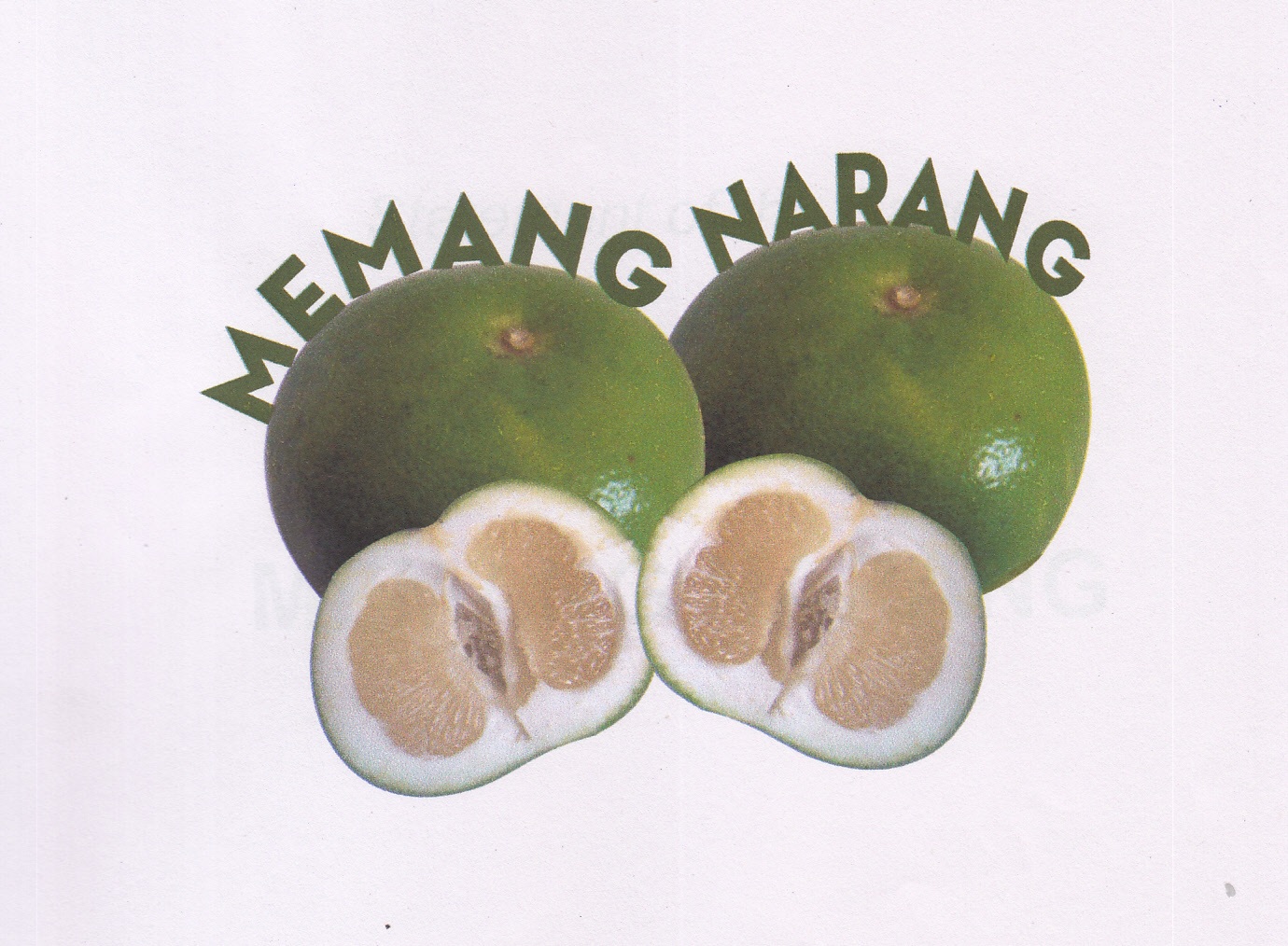 Memang Narang