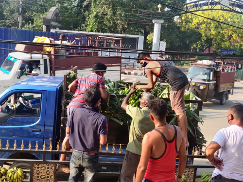 Procurement of Banana from the Farmers of Dudhnoi during Lockdown